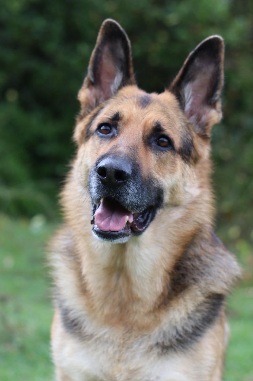 photo_2021-10-16_22-49-27